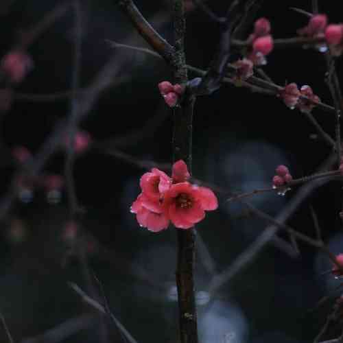  منم یه درس عبرت باخودم بدم و الا دست به خیرم